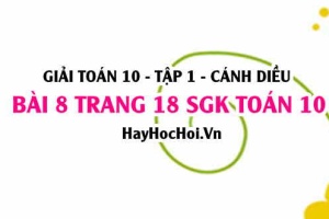 Giải bài 8 trang 18 Toán 10 tập 1 SGK Cánh Diều